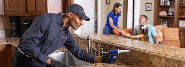 Real Estate Pest Inspections in Lapel, IN